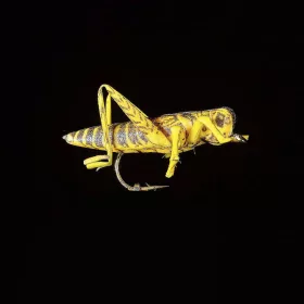 JMC Sauterelle 22 H8 - PCB 6 sztuczna mucha