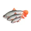 Fox Rage Ultra Realistyczny Replikant Płoci Plastikowa Przynęta 10cm 18gr