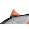 Fox Rage Ultra Realistyczny Replikant Płoci Plastikowa Przynęta 18cm 80gr