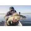 Fox Rage Bulk Loaded Slick Shads UV Arkansas Shiner 9cm 2/0 10gr Plastic Lure