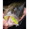 Fox Rage Bulk Loaded Zander Pro Shads UV Lemon Tiger 12cm 4/0 50gr Przynęta Plastikowa