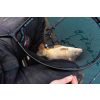 Preston Carp XS Podbierak 60cm