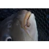 Preston Hookable Bait Bands Gumki do Przynęt S 128szt