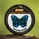 PB Products Ghost Butterfly 27lb 20m Fluorocarbon Előkezsinór