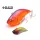 Raid Level Vib B.I.G 6,3cm 17gr 016 Clown Wobler