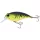 Sakura Crankit +3 Eclipse Tiger 6,2cm 17,0gr Crankbait Medium Runner
