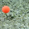 Stég Upters Method Ball Wafter Truskawka 10mm 8szt
