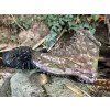 TF Gear Primal X-Trail Buty Terenowe 44
