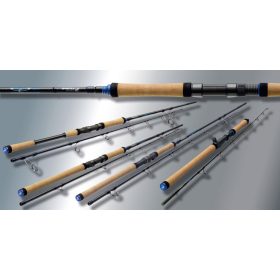  Sportex Top Cat Boat 2,75m 130-300gr 2-częściowa wędka sumowa